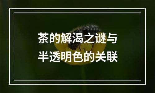 茶的解渴之谜与半透明色的关联