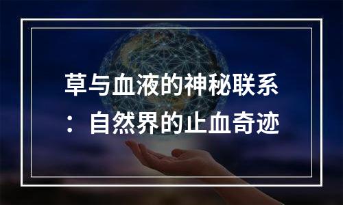 草与血液的神秘联系：自然界的止血奇迹