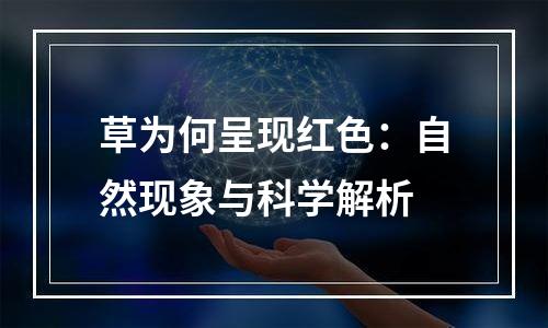 草为何呈现红色：自然现象与科学解析