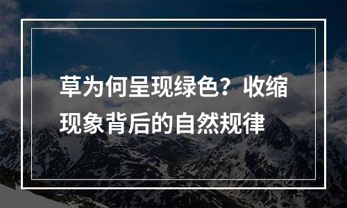 草为何呈现绿色？收缩现象背后的自然规律