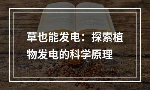 草也能发电：探索植物发电的科学原理