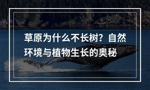草原为什么不长树？自然环境与植物生长的奥秘