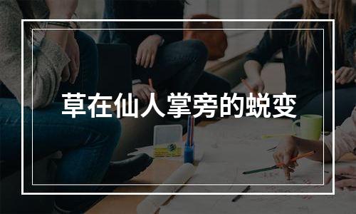 草在仙人掌旁的蜕变