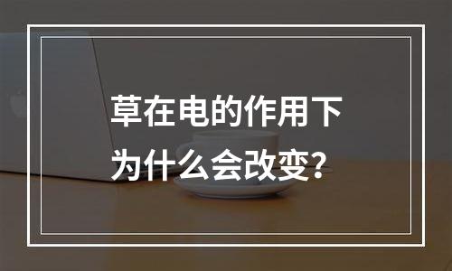 草在电的作用下为什么会改变？