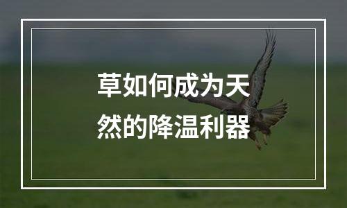 草如何成为天然的降温利器