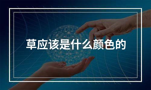 草应该是什么颜色的