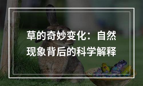 草的奇妙变化：自然现象背后的科学解释