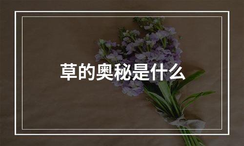 草的奥秘是什么