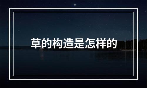 草的构造是怎样的