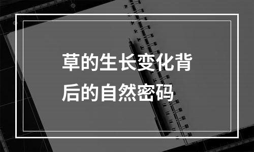 草的生长变化背后的自然密码