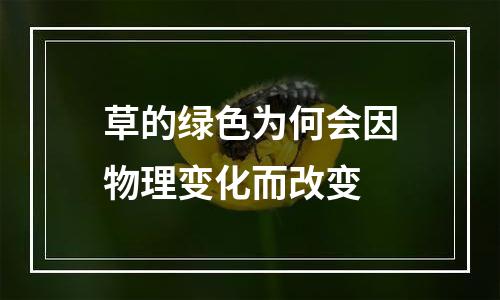 草的绿色为何会因物理变化而改变