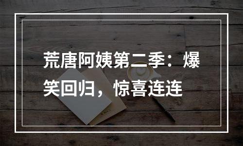 荒唐阿姨第二季：爆笑回归，惊喜连连