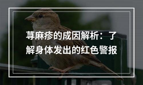 荨麻疹的成因解析：了解身体发出的红色警报