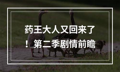 药王大人又回来了！第二季剧情前瞻