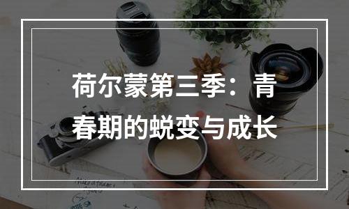 荷尔蒙第三季：青春期的蜕变与成长