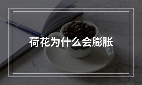 荷花为什么会膨胀