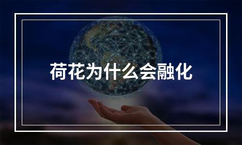 荷花为什么会融化