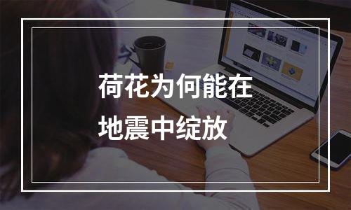 荷花为何能在地震中绽放