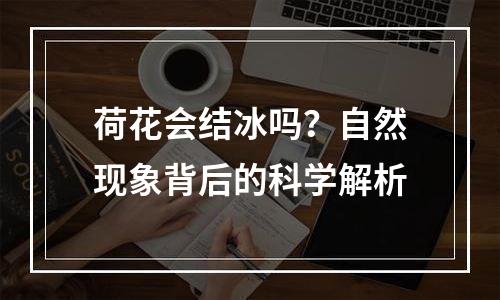 荷花会结冰吗？自然现象背后的科学解析