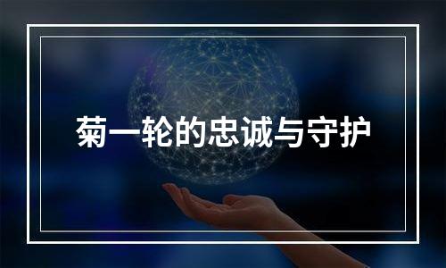 菊一轮的忠诚与守护