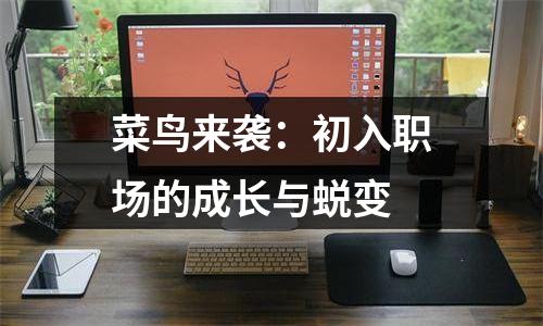 菜鸟来袭：初入职场的成长与蜕变