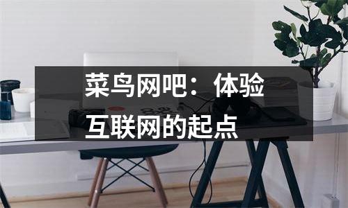 菜鸟网吧：体验互联网的起点