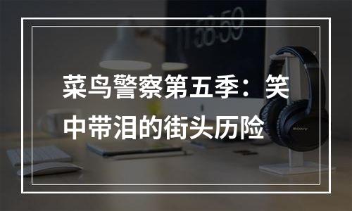 菜鸟警察第五季：笑中带泪的街头历险