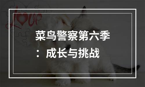 菜鸟警察第六季：成长与挑战