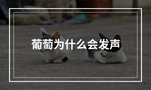 葡萄为什么会发声