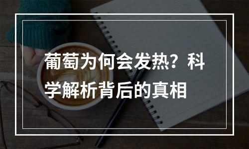 葡萄为何会发热？科学解析背后的真相