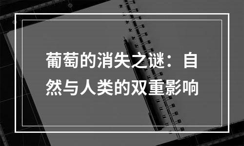 葡萄的消失之谜：自然与人类的双重影响