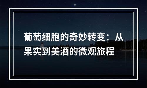 葡萄细胞的奇妙转变：从果实到美酒的微观旅程