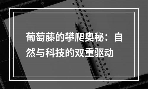 葡萄藤的攀爬奥秘：自然与科技的双重驱动