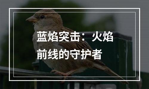 蓝焰突击：火焰前线的守护者