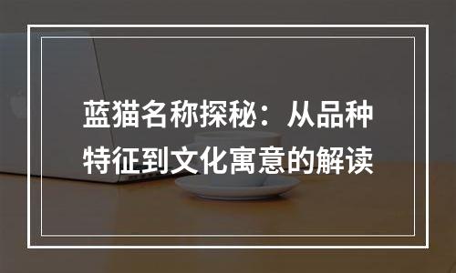 蓝猫名称探秘：从品种特征到文化寓意的解读