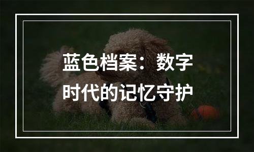 蓝色档案：数字时代的记忆守护