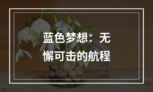 蓝色梦想：无懈可击的航程