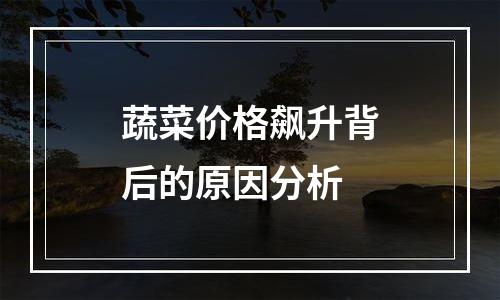 蔬菜价格飙升背后的原因分析