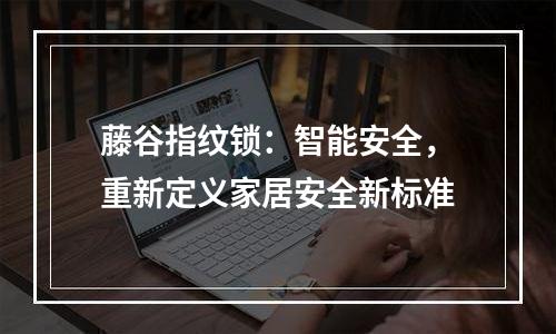 藤谷指纹锁：智能安全，重新定义家居安全新标准