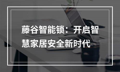 藤谷智能锁：开启智慧家居安全新时代