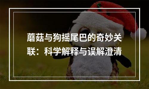 蘑菇与狗摇尾巴的奇妙关联：科学解释与误解澄清