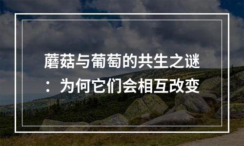 蘑菇与葡萄的共生之谜：为何它们会相互改变