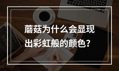 蘑菇为什么会显现出彩虹般的颜色？