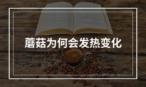 蘑菇为何会发热变化