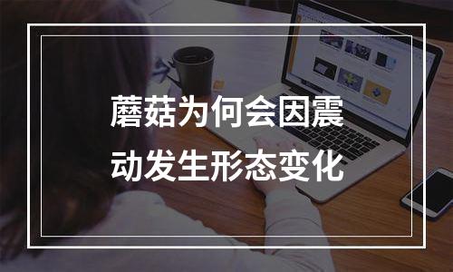 蘑菇为何会因震动发生形态变化