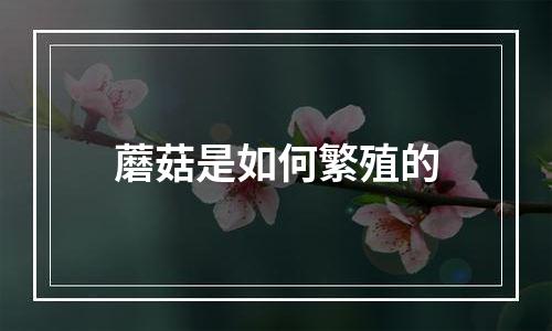 蘑菇是如何繁殖的