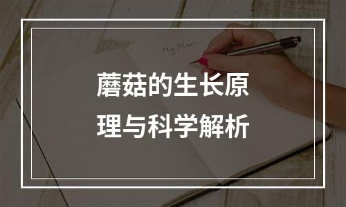 蘑菇的生长原理与科学解析