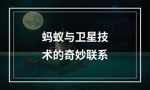 蚂蚁与卫星技术的奇妙联系