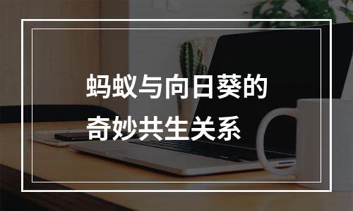 蚂蚁与向日葵的奇妙共生关系