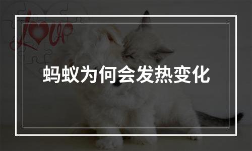 蚂蚁为何会发热变化